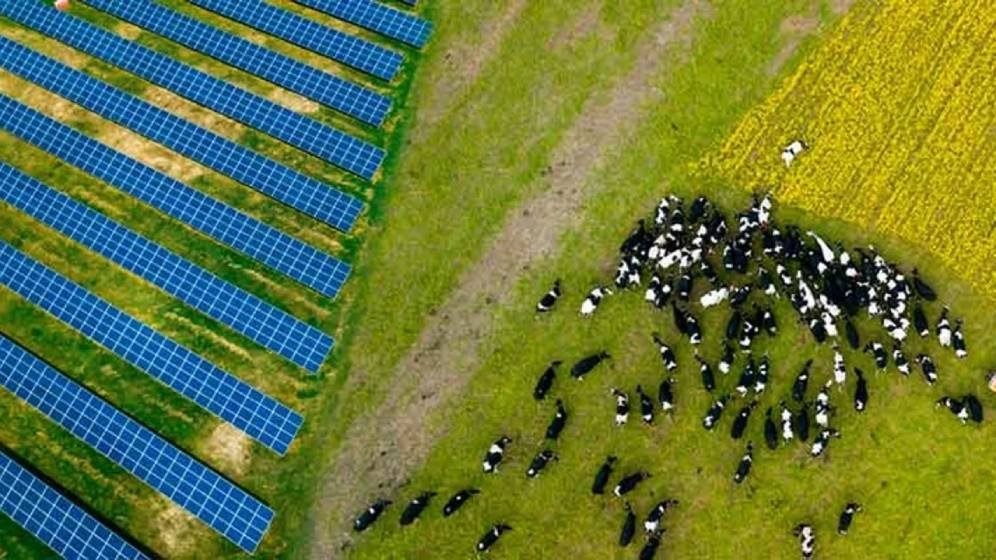 Arrendamento de terras para energia solar como alternativa