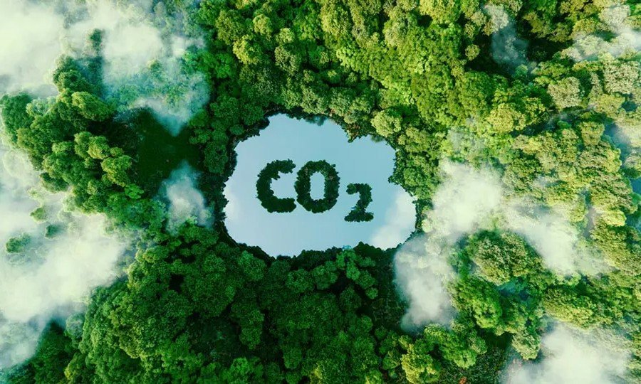 Entenda o que são e como funcionam os créditos de carbono