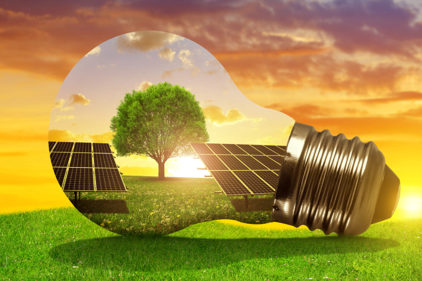 Migração para o mercado livre de energia pode equivaler ao plantio de milhares de árvores